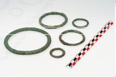 Foto von Bronzering (NHMW-PRAE-035787)